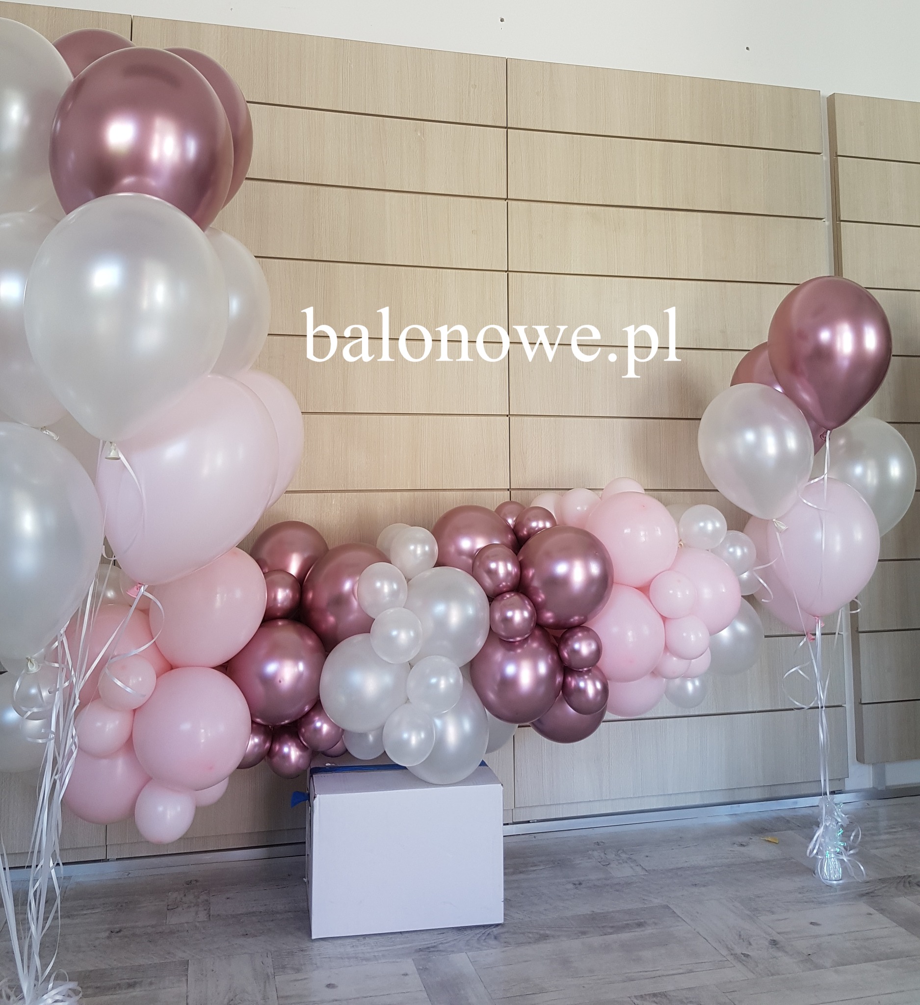 477597205_2338181559914650_4963683899770128467_n